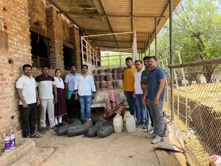 दारूधंद्याविरोधात आवाज उठवणाऱ्या तरुणाला मारहाण… बेलवाडीतील संतप्त युवकाने पोलिस ठाण्यात केली तक्रार…