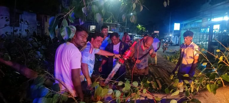 मोहपाडा आमंत्रण हॉटेल शेजारी पिंपळाची मोठी फांदी कोसळली… अचानक फांदी कोसळल्याने दुचाकी वाहनांचे मोठे नुकसान…  