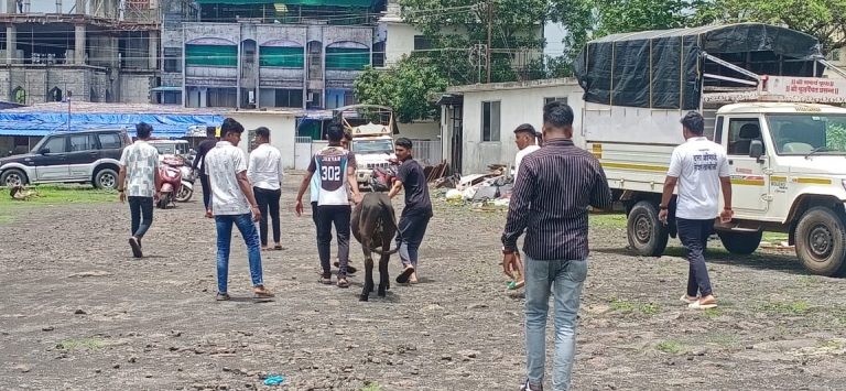 बकरी ईदच्या दिवशी 500 गोवंश हत्या होणार असल्याची चर्चा… नेरळ पोलीसांकडून दोन दिवस दामत गावात सर्च ऑपरेशन…