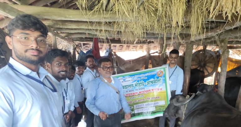 कोळोसे गावात राबविण्यात आले जनावरांचे लसीकरण शिबीर!…
