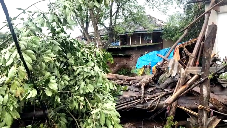 खांडस गावात घरावर झाड कोसळून मोठे नुकसान… सुदैवाने कोणतीही जीवितहानी नाही…घर मालकाचे नुकसान…