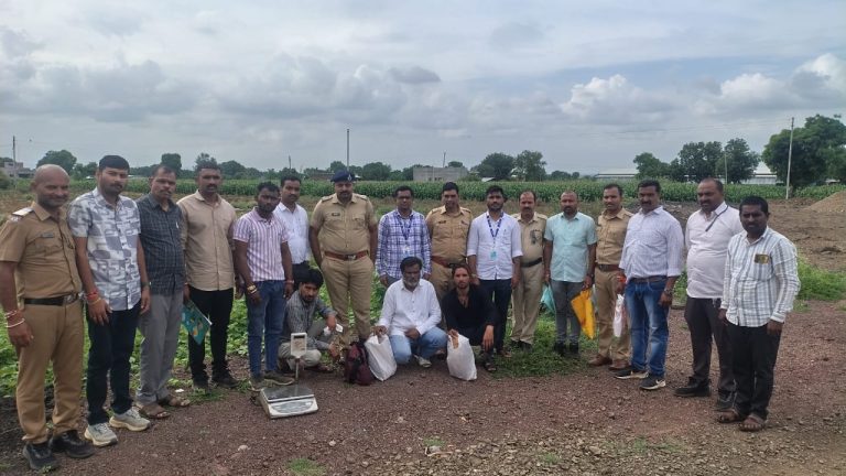 मालेगाव तालुका पोलिस निरीक्षक प्रितम चौधरी यांची मोठी कारवाई… तीन गांजा तस्करी बहादुरांना रंगेहाथ अटक…