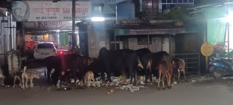वासांबे ग्रुप ग्रामपंचायत कचरा टाकणाऱ्यांवर ठोस कारवाई करेल का?संतप्त नागरिकांचा ग्रामपंचायतीला सवाल…
