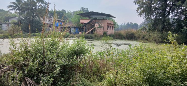 रस्त्यावर पकडलेल्या मगरीनंतरही तलावात हालचाल नेमक्या किती मगरी ?